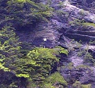 Weisser Stern an der Felswand beim Reichenbachfall